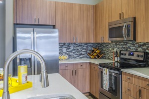 Designer kitchen with quartz countertops, glass tile backsplash, and stainless-steel energy efficient appliances